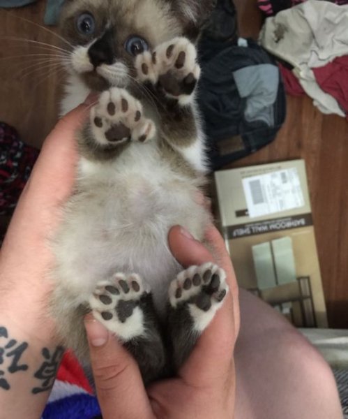 a296bfff91d74237cb05002753a181d2