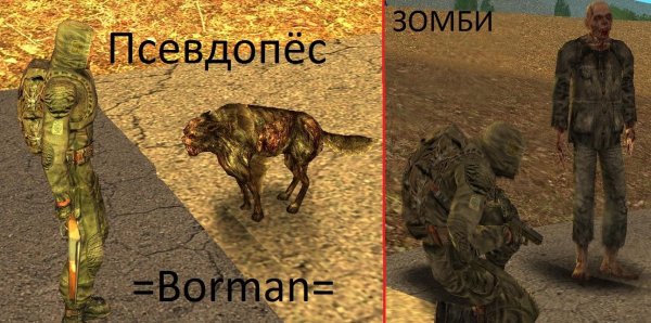 PsevdoDog i Zombi