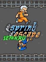 Sprint Escape 176