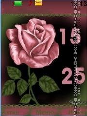 roses-125782