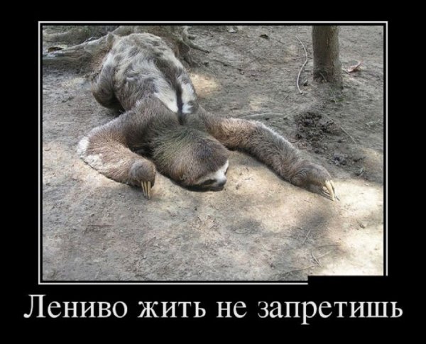 Лениво жить не запретишь