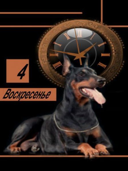 Doberman (NEXT)