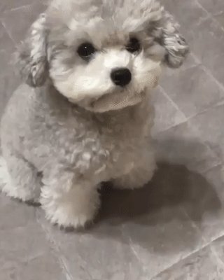 Я Готов Тебя Выслушать