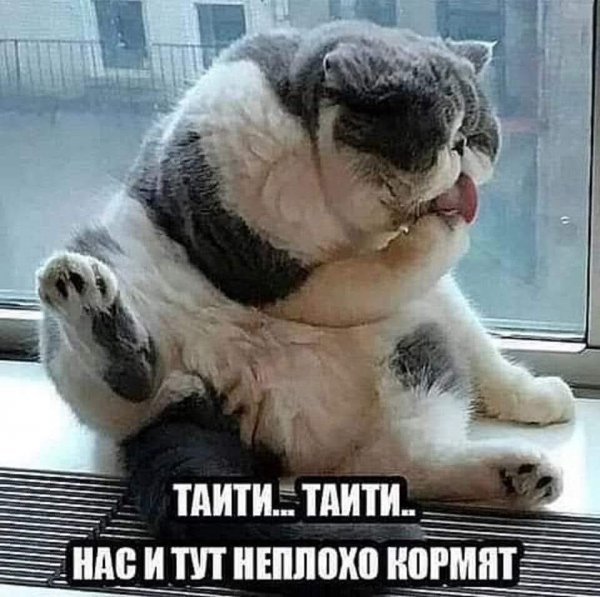 FB IMG 1776447474640