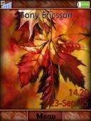 Autumn