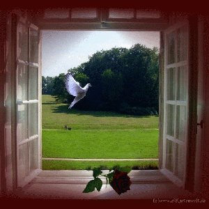 Пусть сердце не устанет верить в чудо