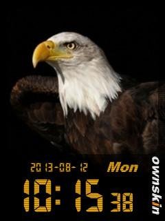 Eagle часы флэш-орел беркут