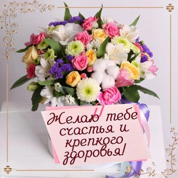 IMG 20260408 111844 232