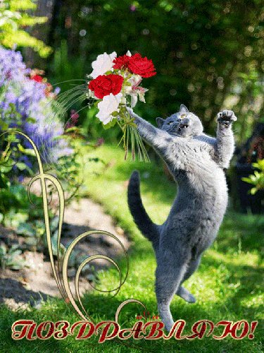 Поздравляю!