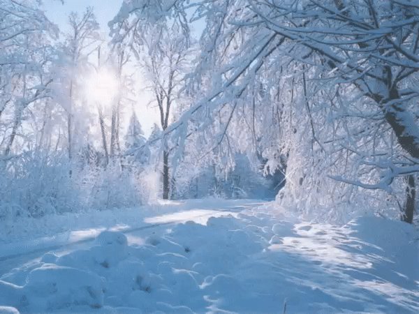 gif 1477331097