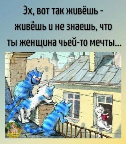 FB IMG 1777226604201