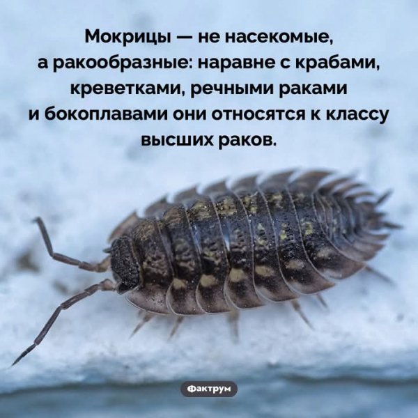 FB IMG 1750050371480