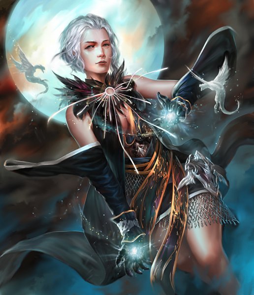 Magic Dragons Moon Night 515496 880x1024 2