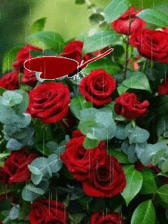 file_66482238
