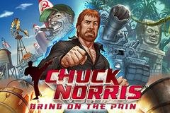 ChuckNorris RUS Samsung 176x220