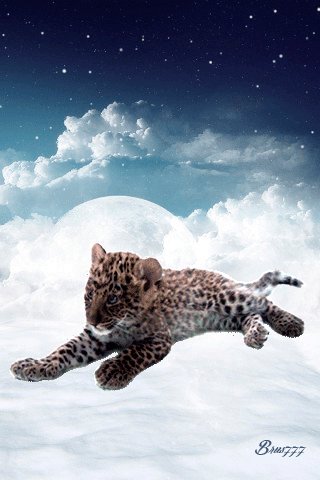 file_53666242