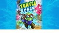 turtledash