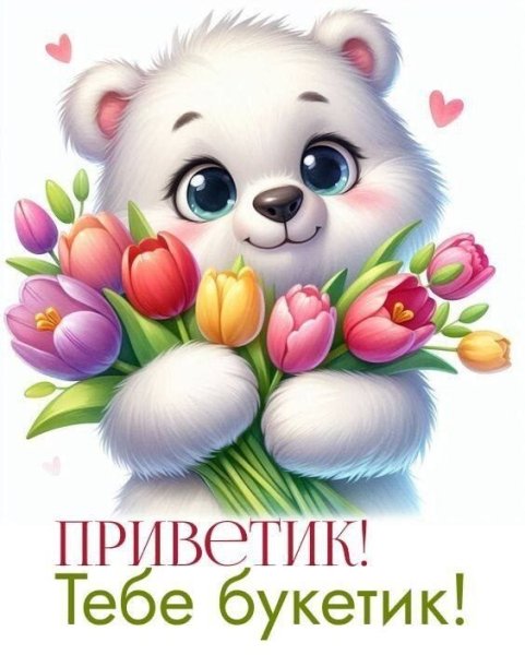 IMG 20260215 012144