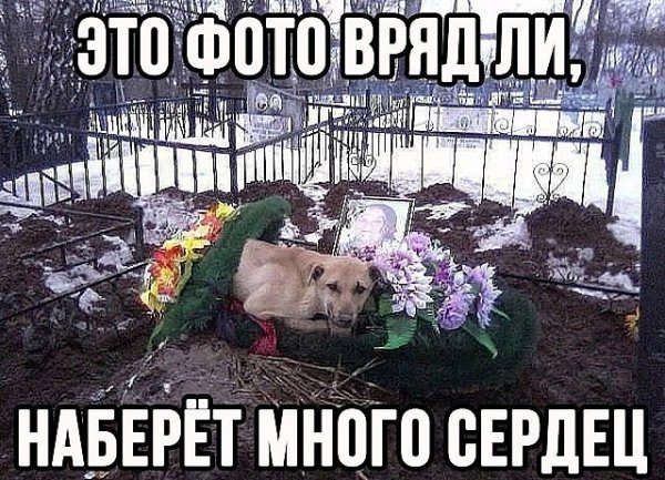 Собака на могиле
