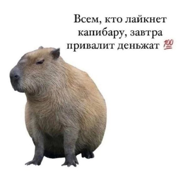 IMG 20250103 091700 725