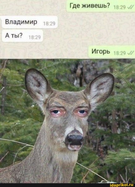 b4622ca6cc921da2d8915551a71479ba435a56b 1