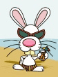beachbunny