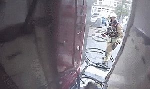 Спасение котэ