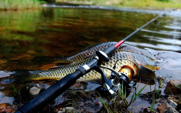 Кому нравится?