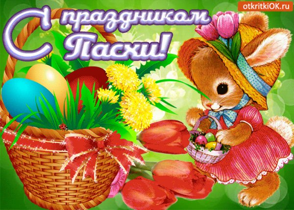 GIF-5189sPashoj