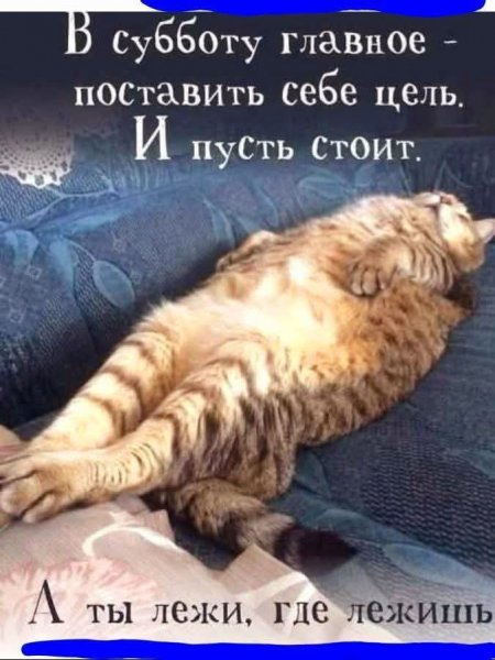FB IMG 1777750554789