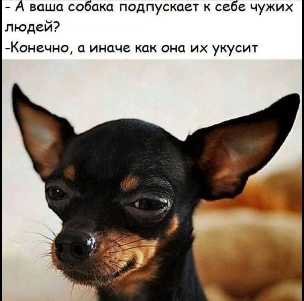 FB IMG 1777393349276