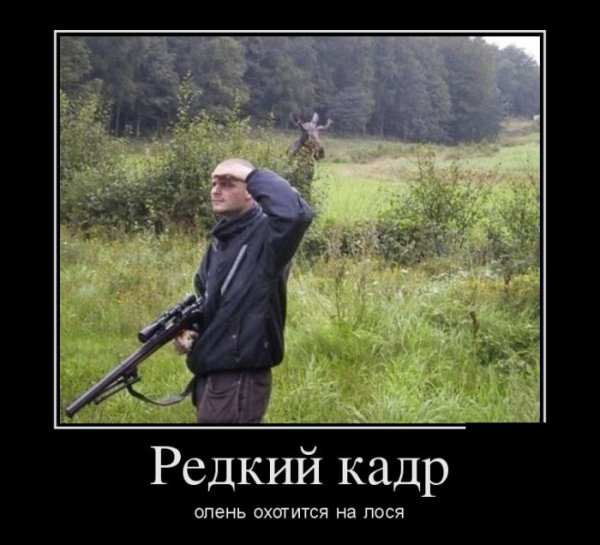 demotivator