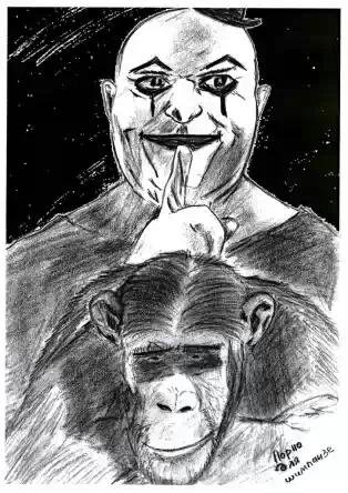 Порно для шимпанзе