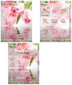 Розовые тюльпаны (havafara)