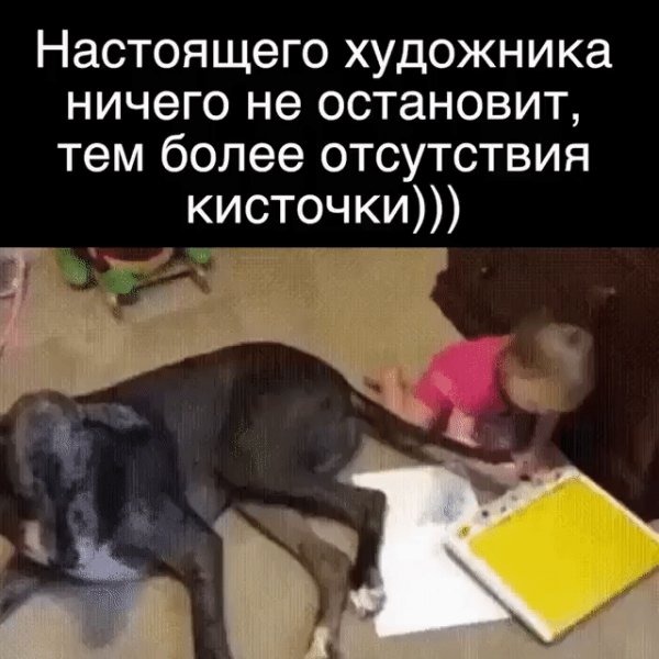 IMG 20230111 093305