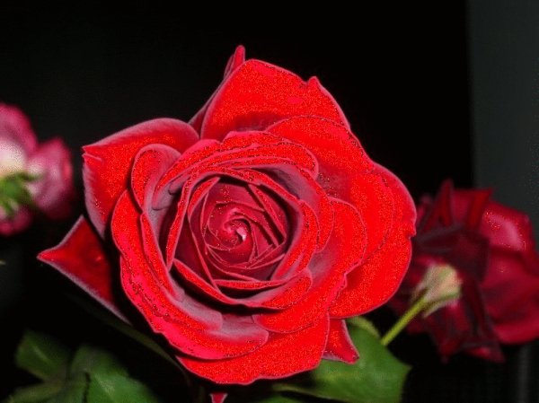 0 27ce51 5fa29dfe orig