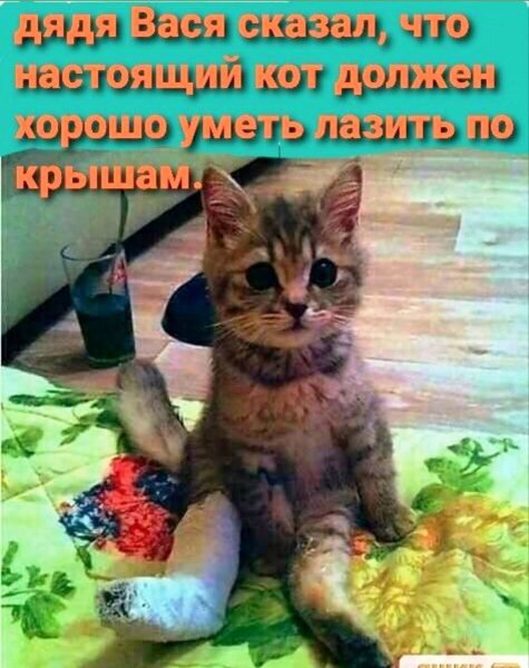 FB IMG 1774669055129