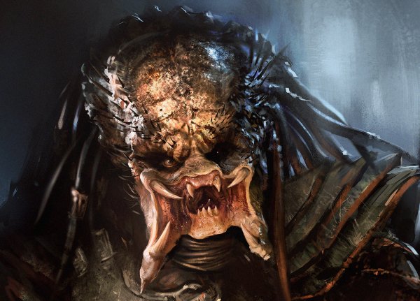 predator-hischnik-prishelec-art