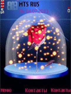 Rose love by Naomiblessed