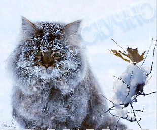 oie 0 0 1610543Dm8ZBXJI-1