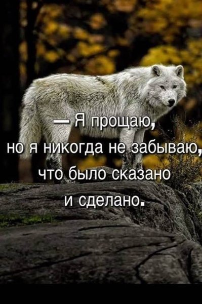 FB IMG 1774470767109