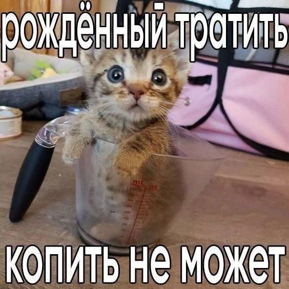 IMG 20250623 020446 928