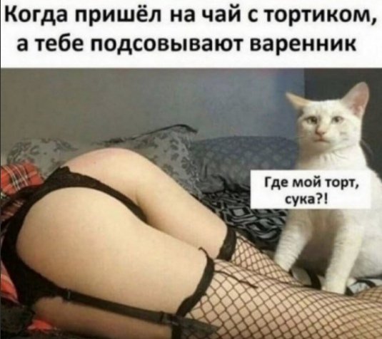 VdzhCqKEPzuQsZZgRmc4AtqqksNSHArmmO4L35ySgqXooKwSTjxGb5t4av