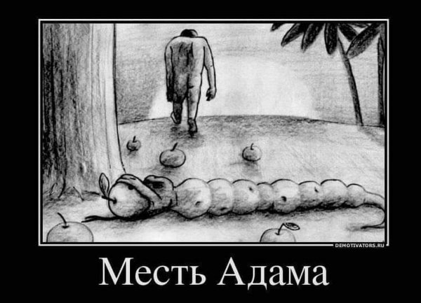IMG 20251027 122348