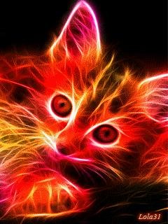 Кошка