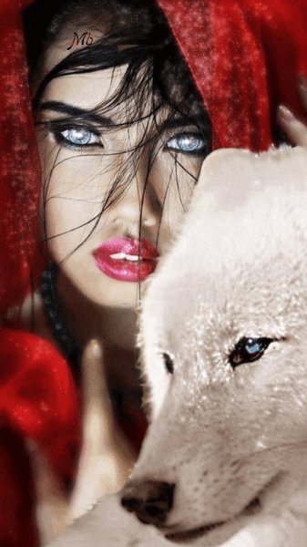 калейдоскоп Photo