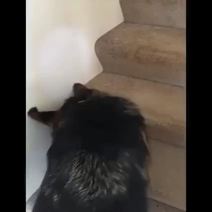 gif 1473878768