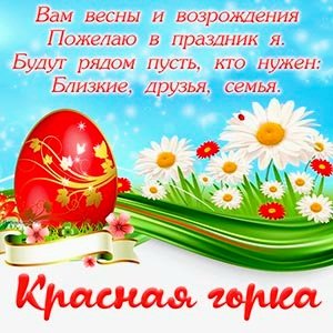 file_96646493