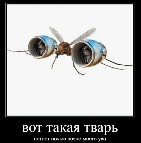 file_102512585