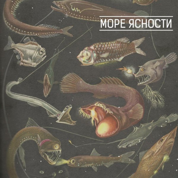 Море ясности - В строй